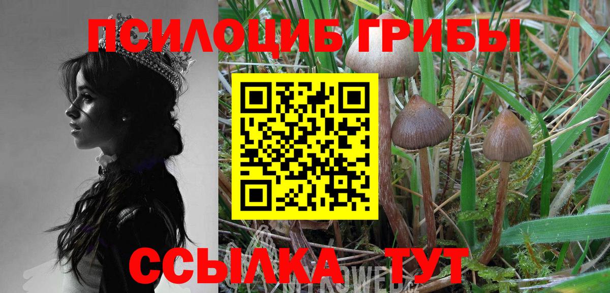 Галлюциногенные грибы прущие грибы  Вход с VPN  Нефтекамск 
